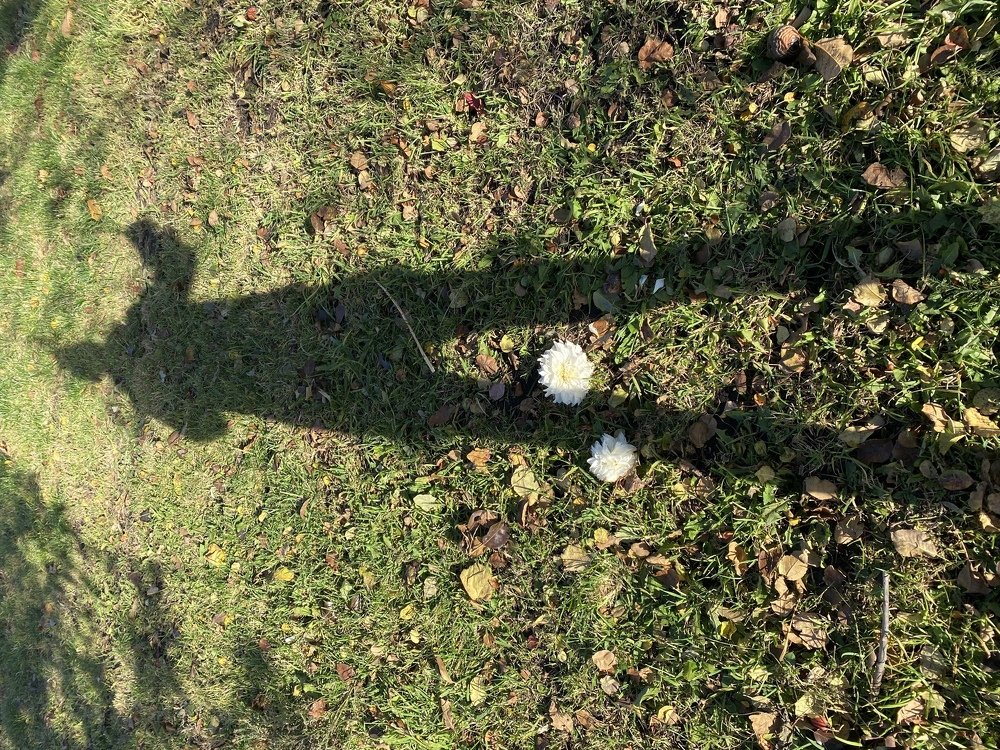 Photograph by Ольга Демашова