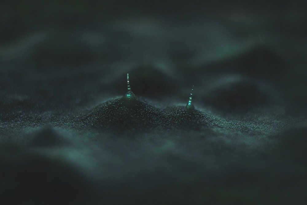 Photograph by Фролова Евгения