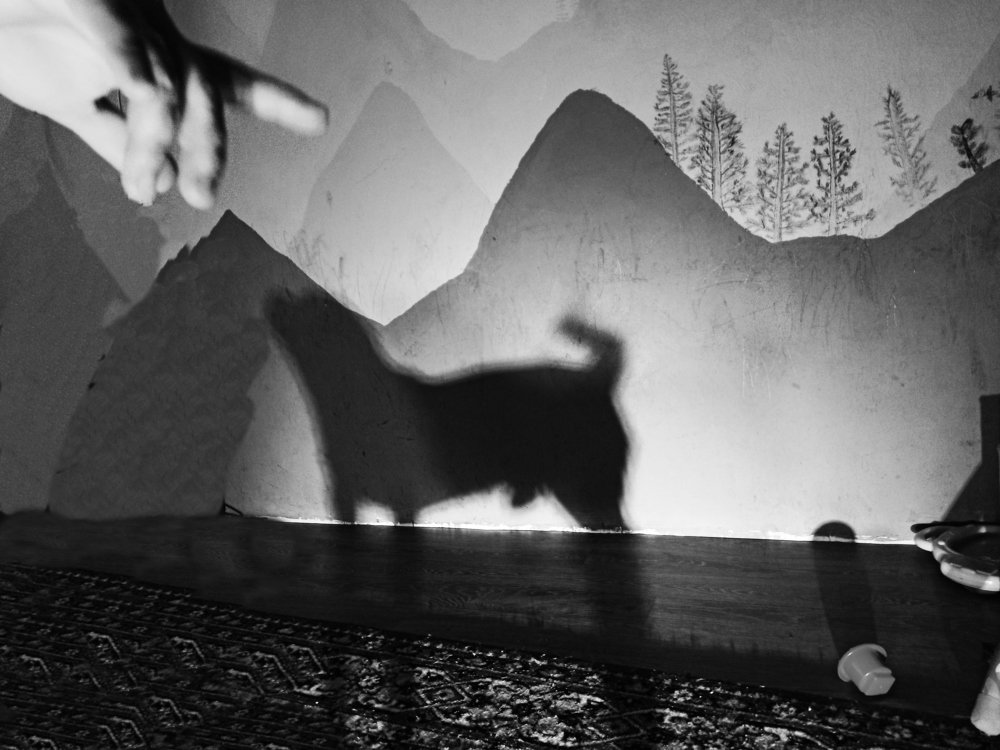 Photograph by Наталья Борисова