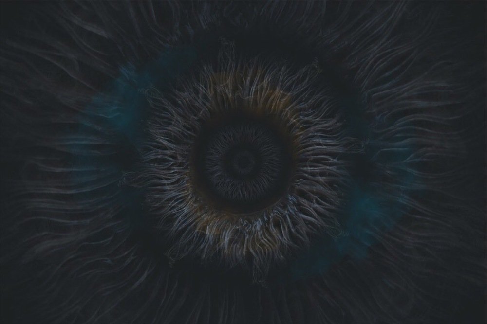 Photograph by Фролова Евгения