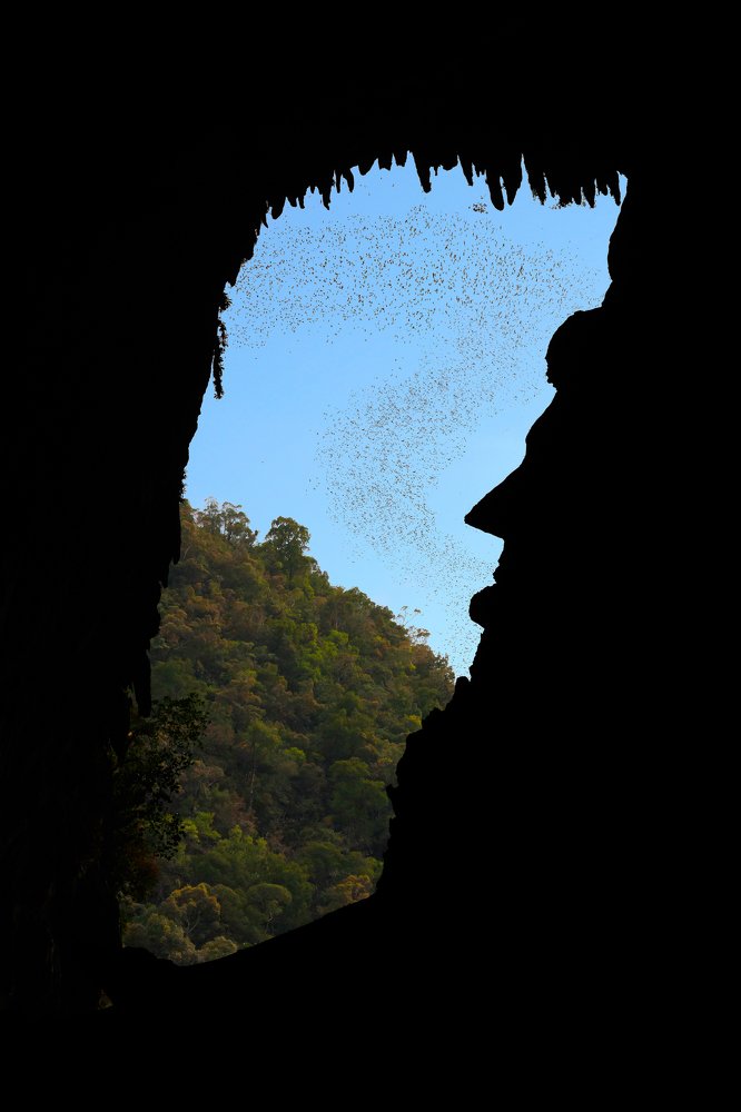 Photograph by Ari Kustiawan