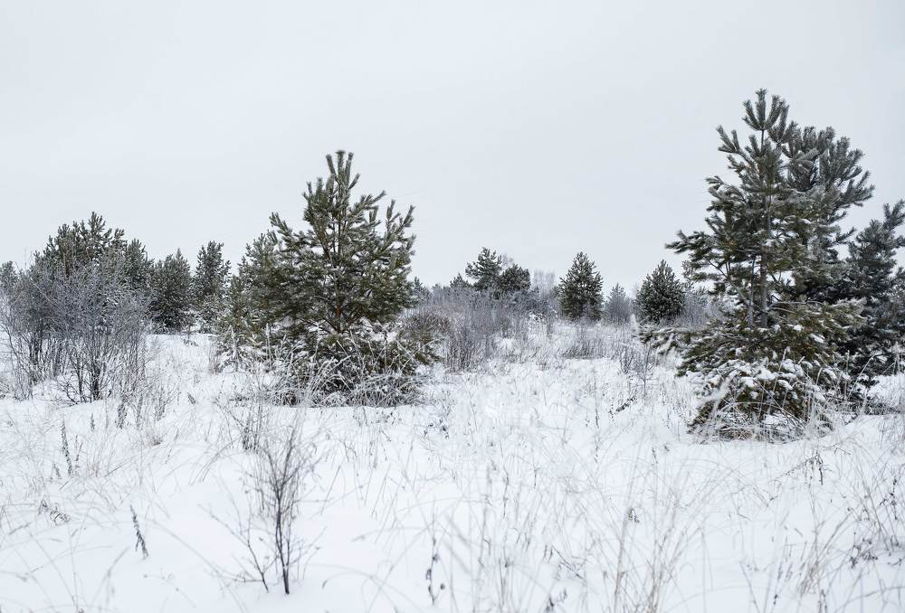 Фотография автора Анна Толмачева