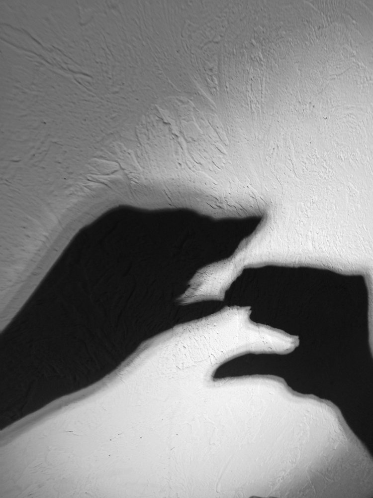 Photograph by Наталья Борисова