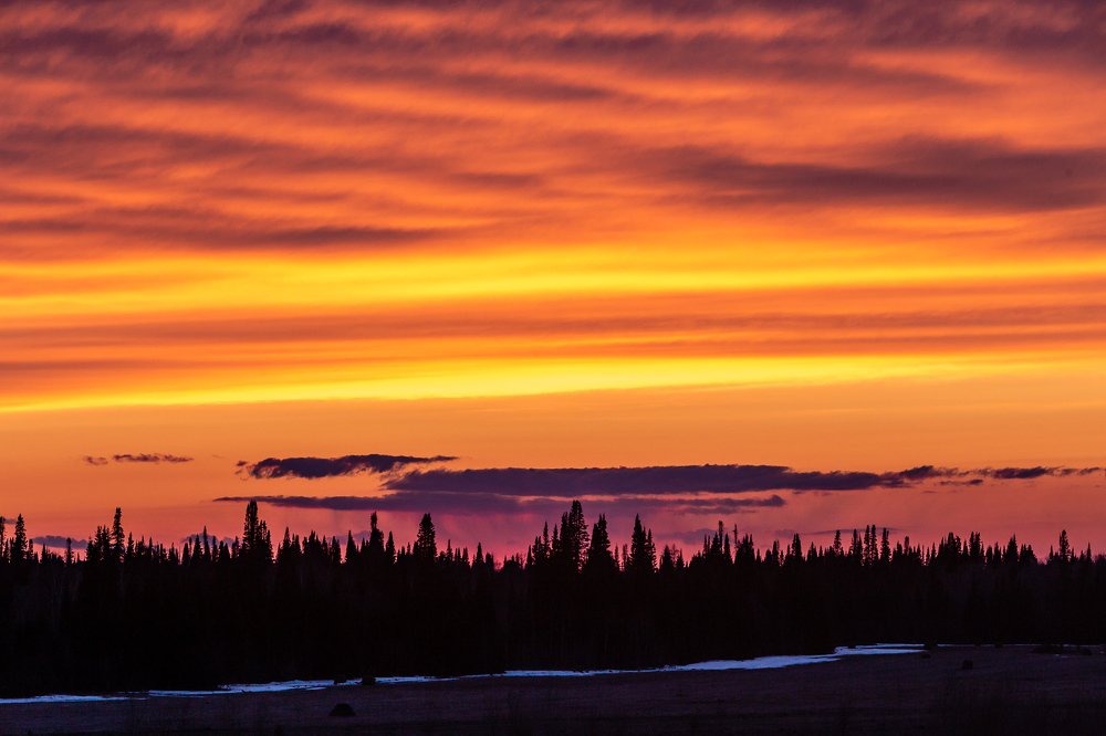 Photograph by Сергей Ларин