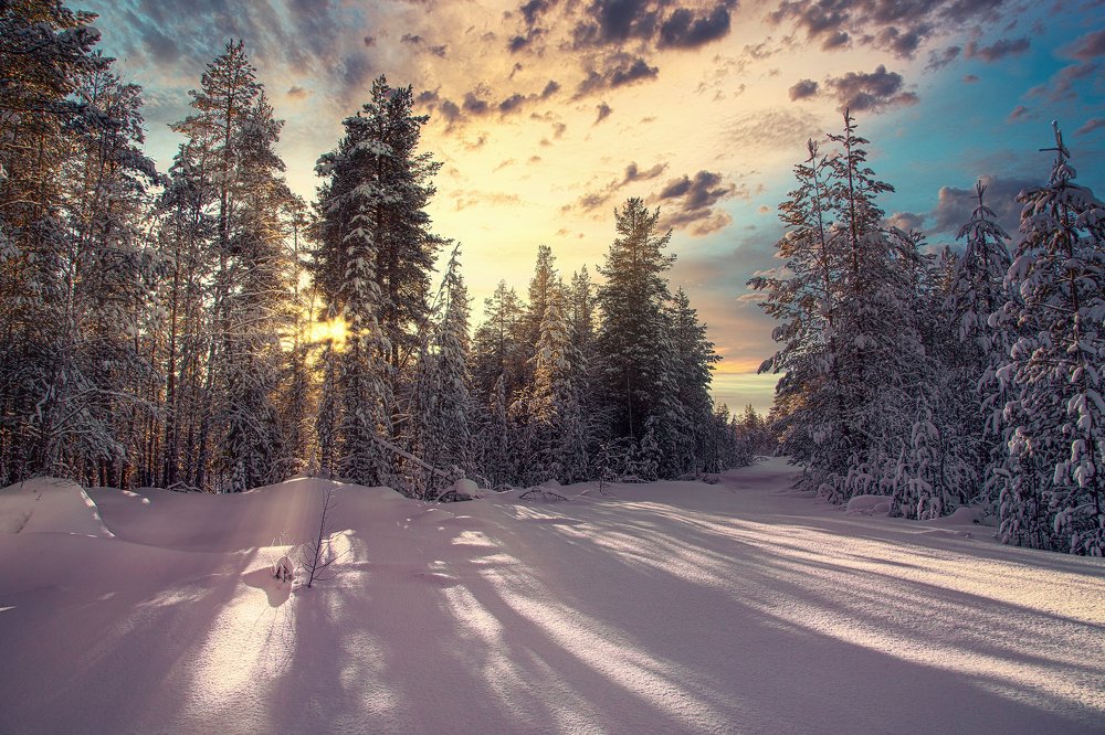 Photograph by Алексей Покровский