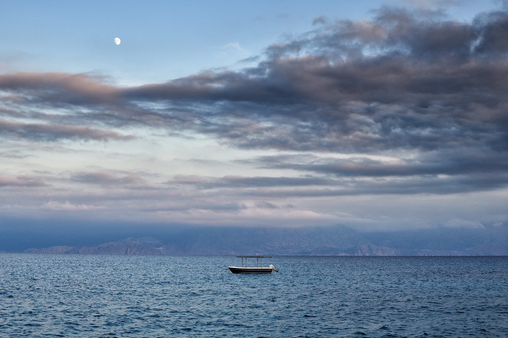 Photograph by 