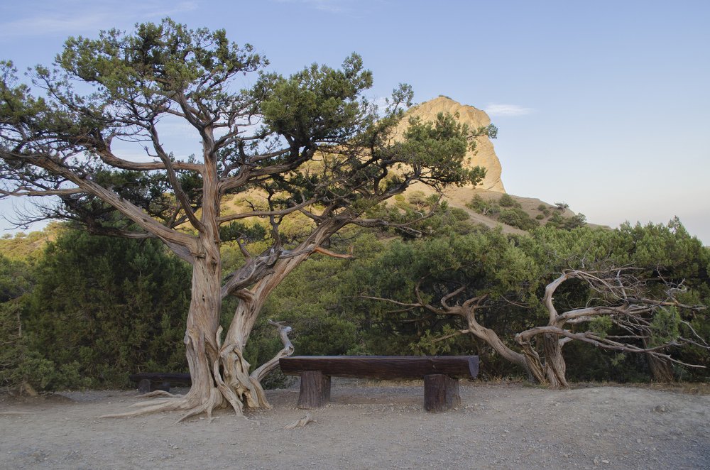 Photograph by Ксения Щербакова