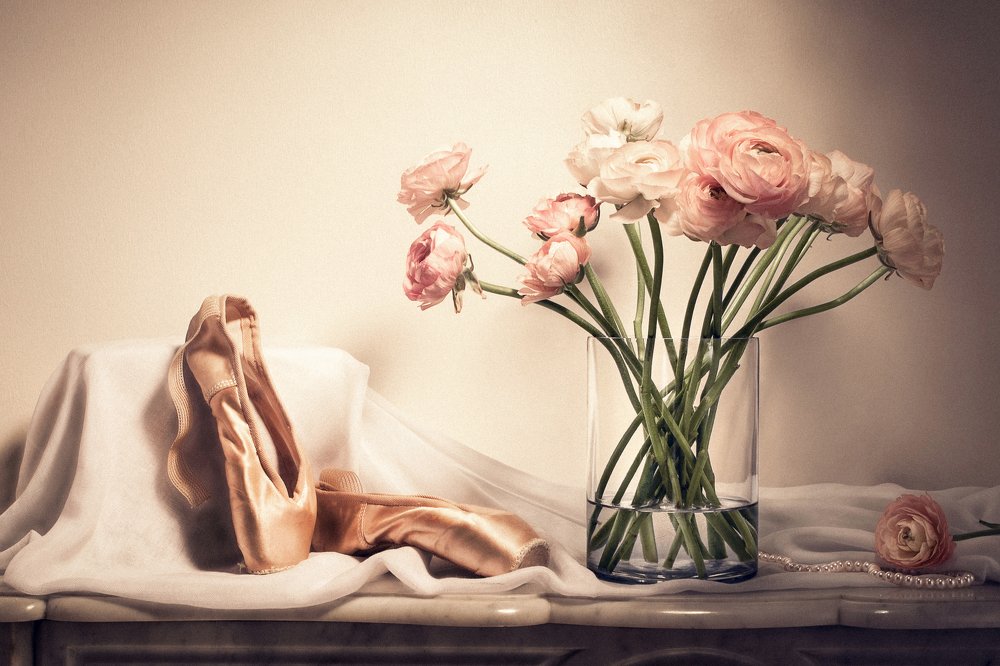 Photograph by Evgeniya Stafeeva