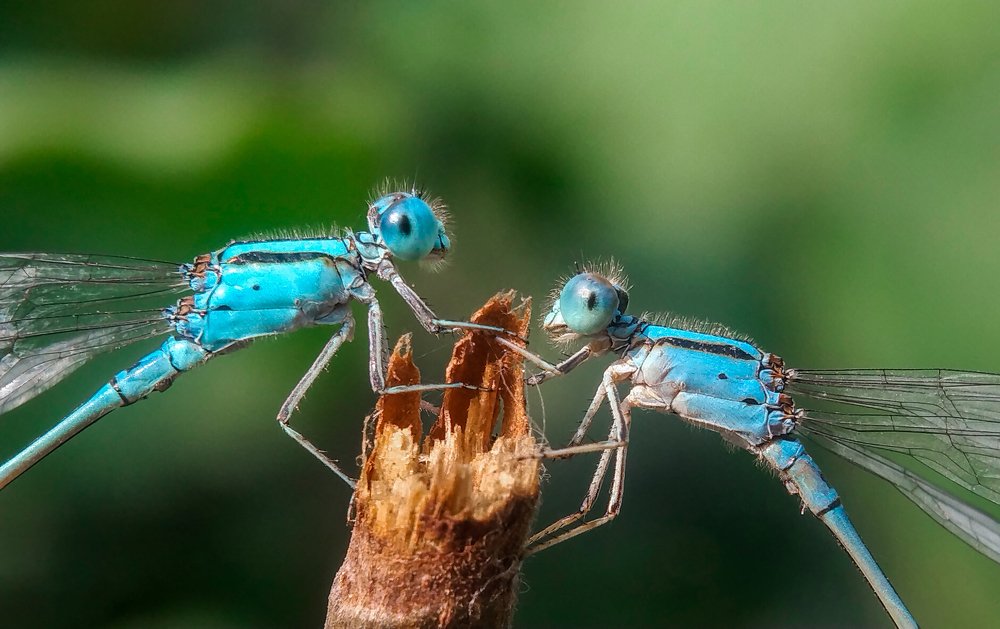 Conversation Between Two People