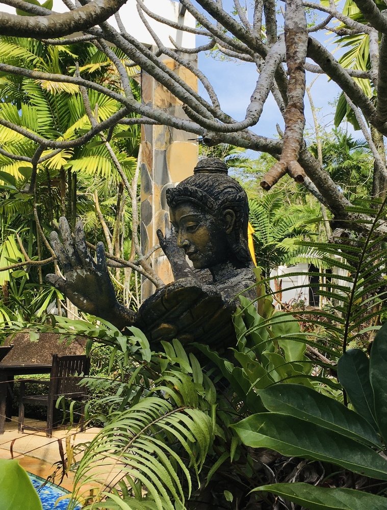 Photograph by Дарья