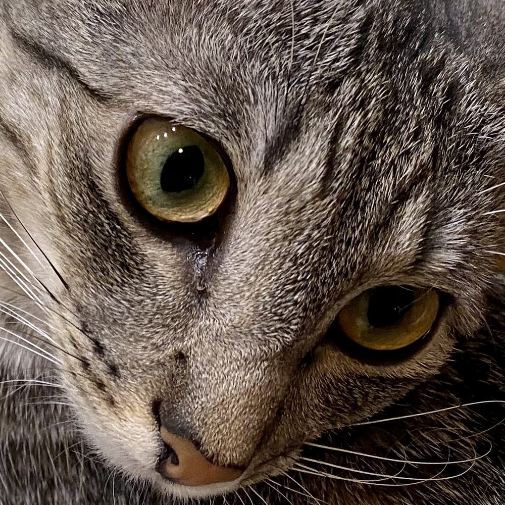 Photograph by Сергей Челахов