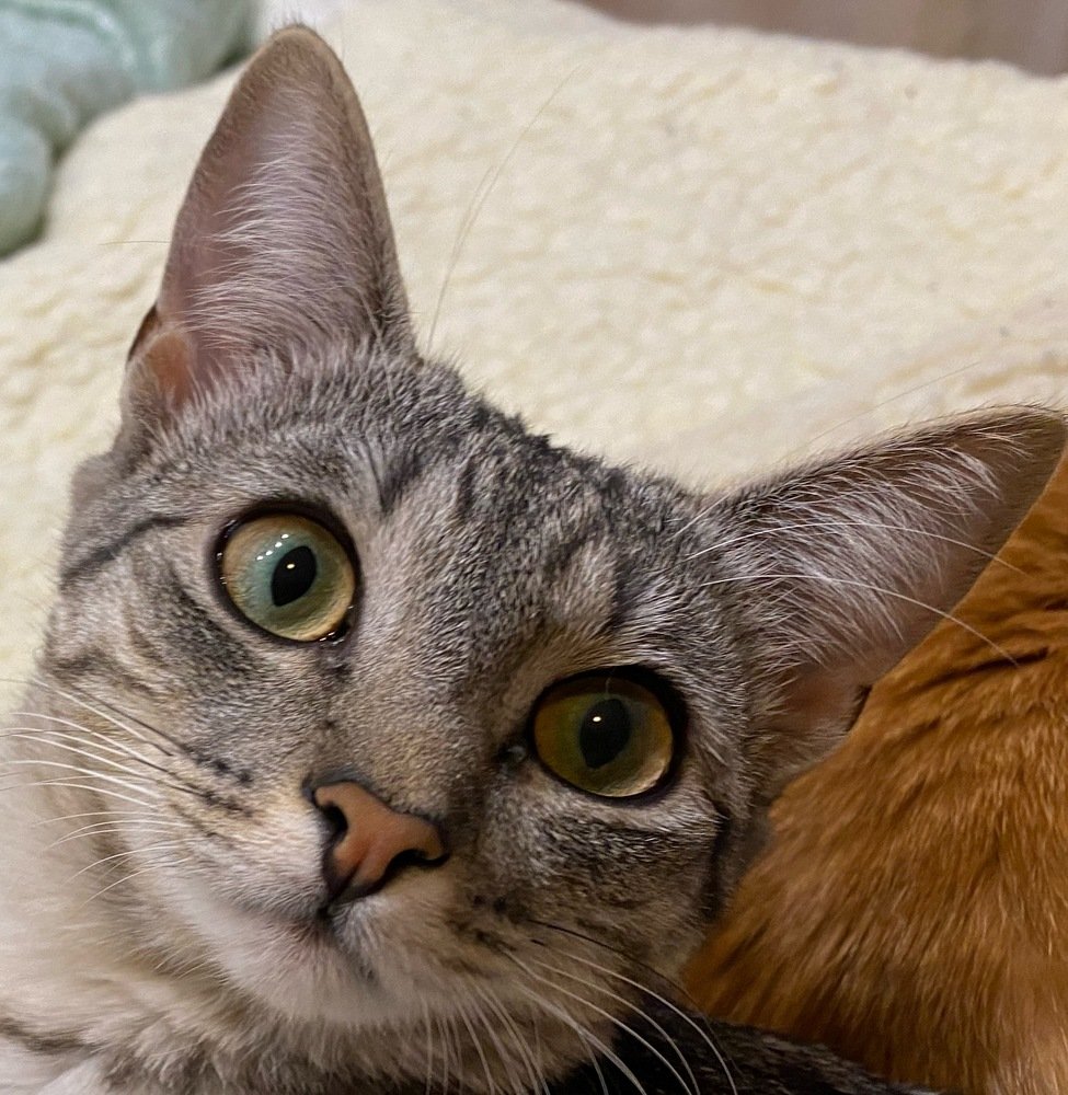 Photograph by Сергей Челахов