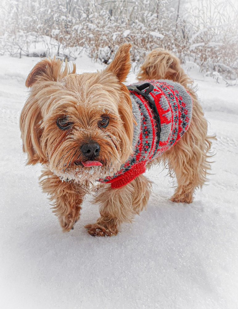 Photograph by Сергей Аксёнов