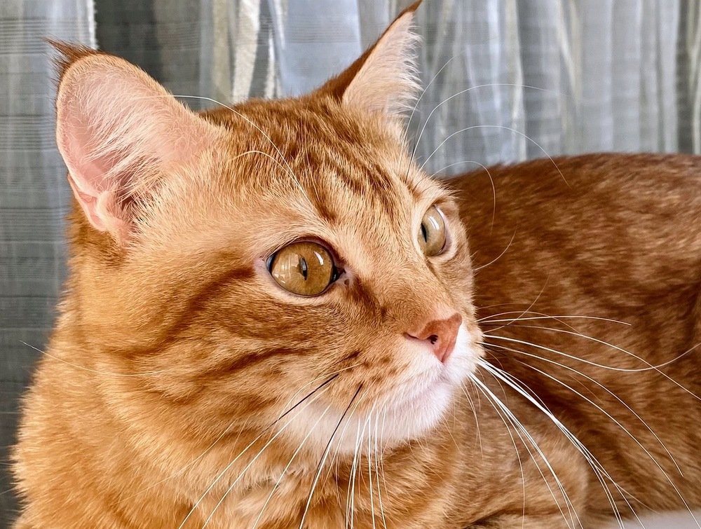 Photograph by Сергей Челахов