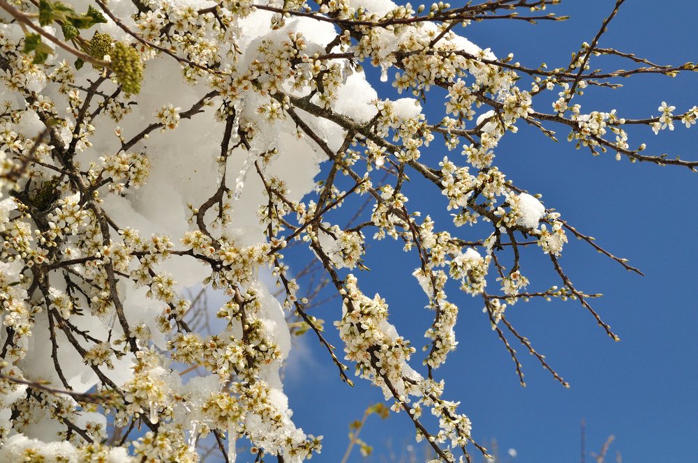 Photograph by Евгений