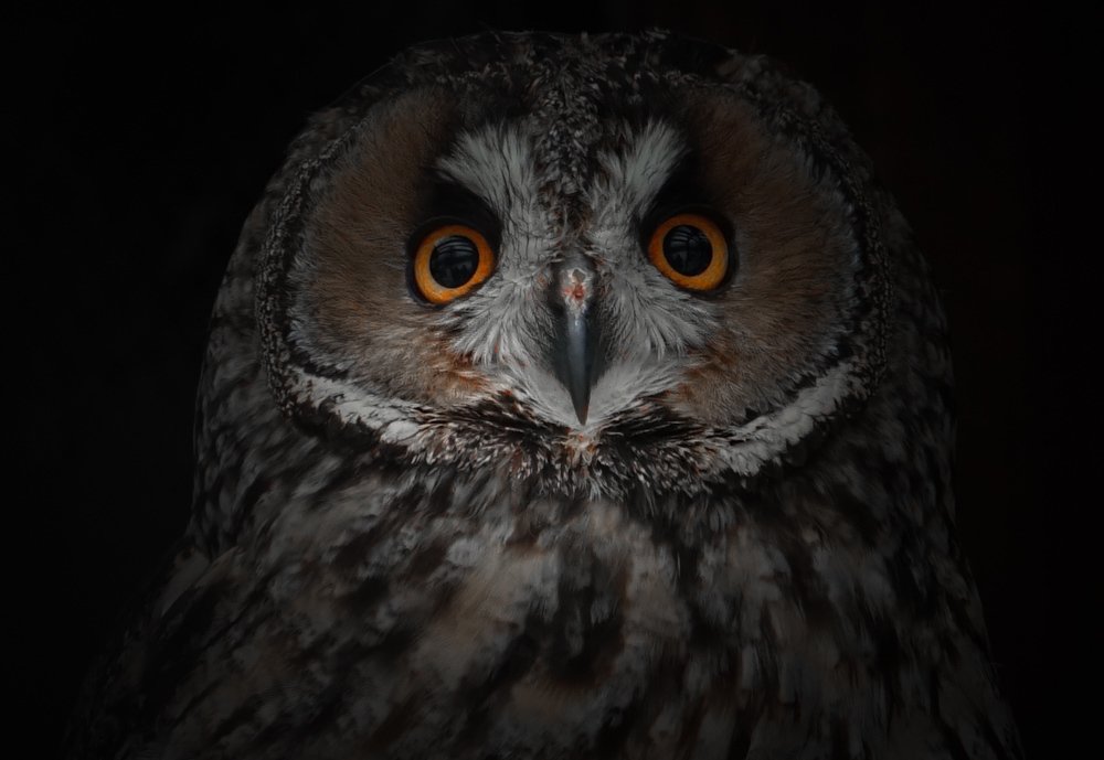 Photograph by Ирина Окладникова