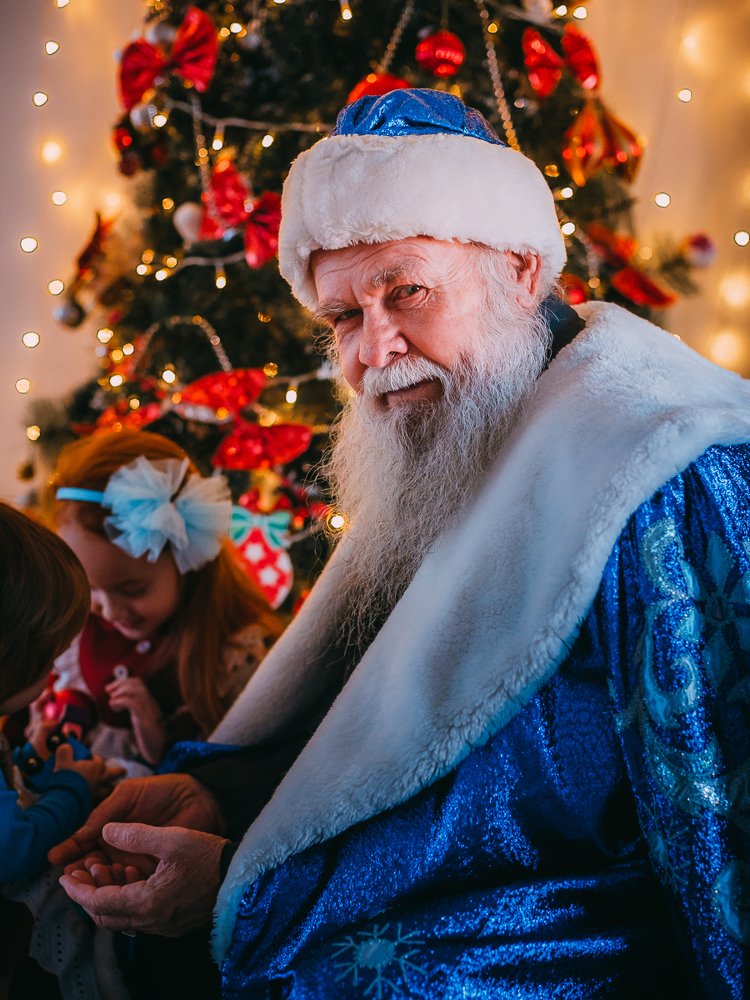 Фотография автора Дарья Шевченко