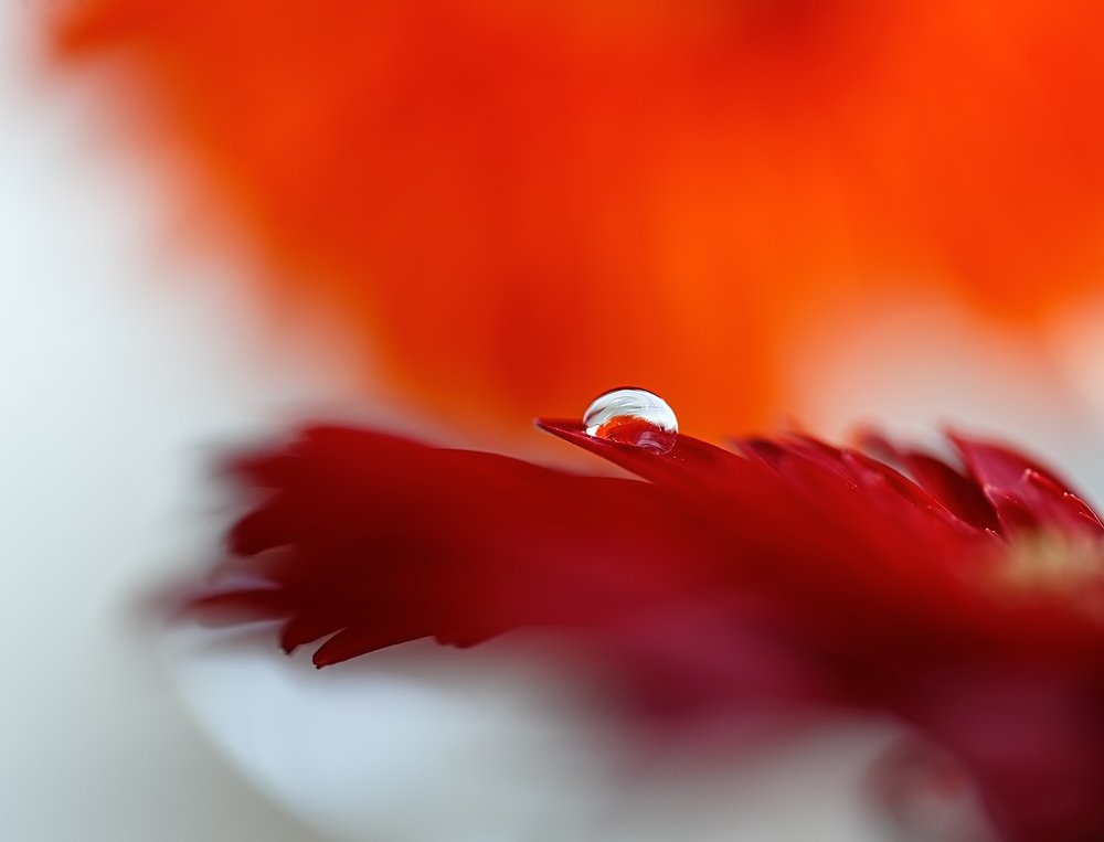 Photograph by Евгений Паршуков