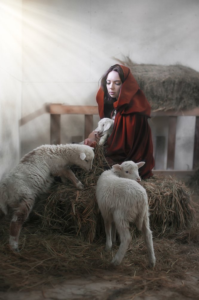 Photograph by Вилена Романова