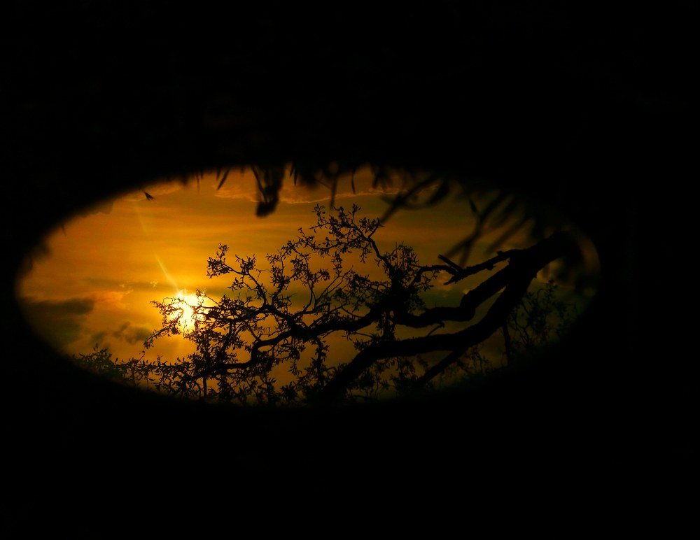 Photograph by محدثه رحمتی