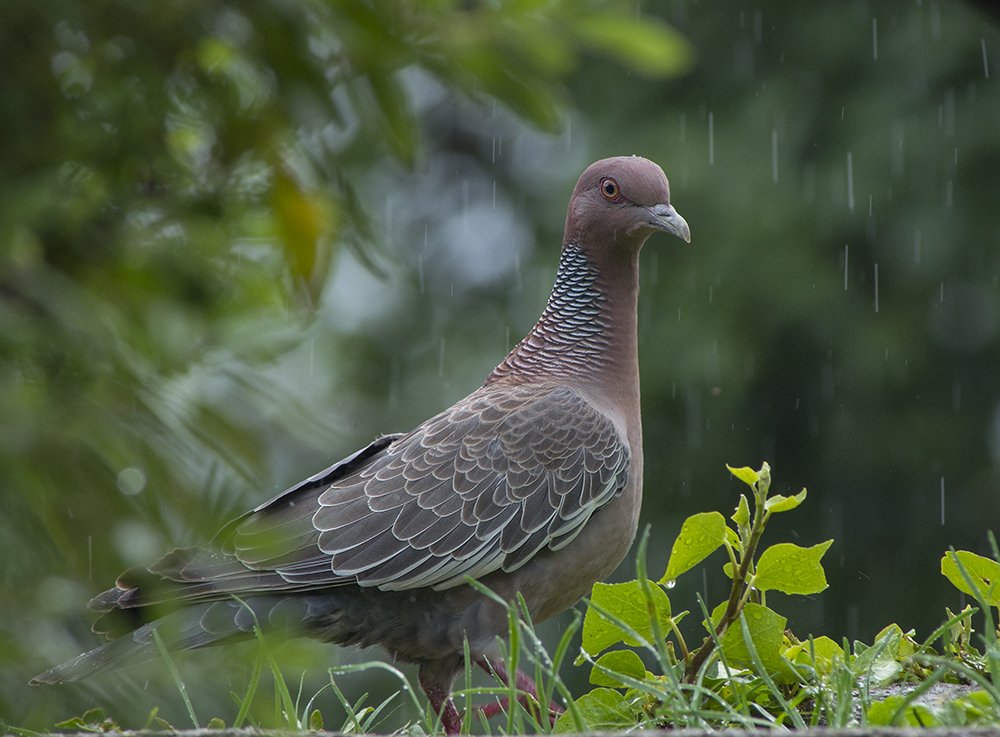 Photograph by Сергей Волков