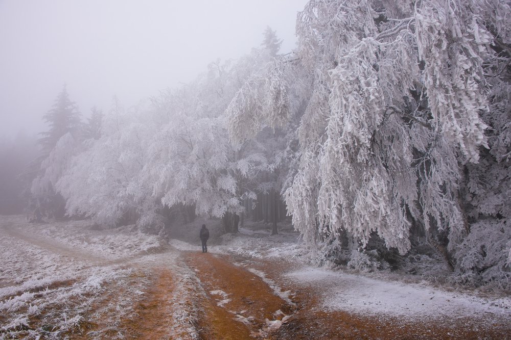 Photograph by Renata Łacina