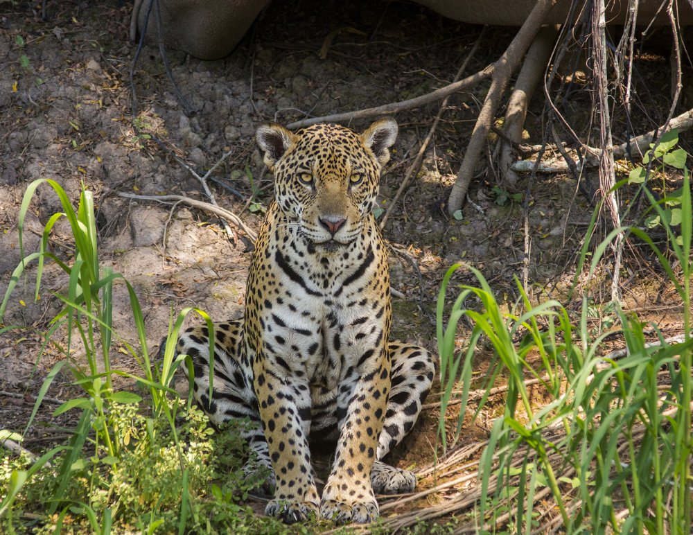 Photograph by Сергей Волков