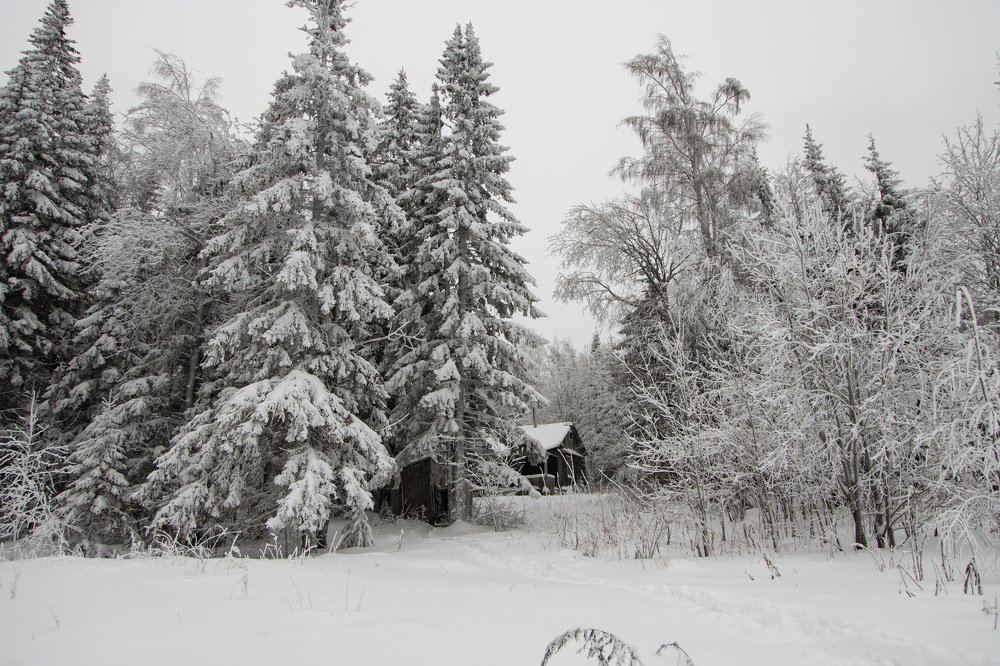 Photograph by Максим Фролов