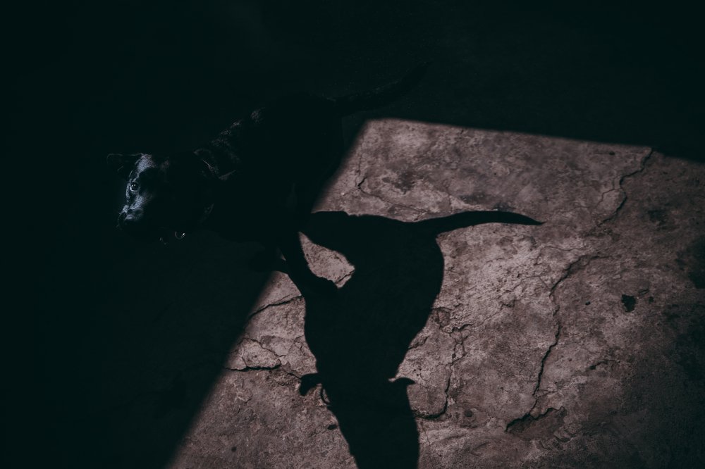 Photograph by David Adilkhanyan