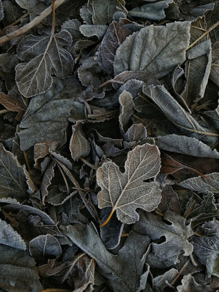 Photograph by Марина Згоник