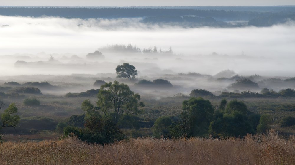 Photograph by Роман Есипов