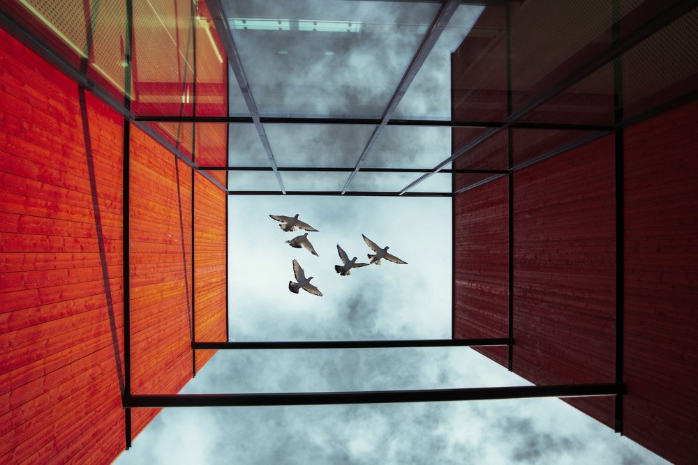 Photograph by Татьяна Бохан