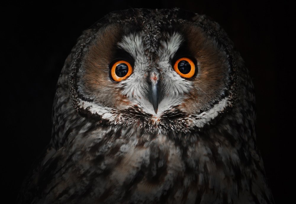 Photograph by Ирина Окладникова