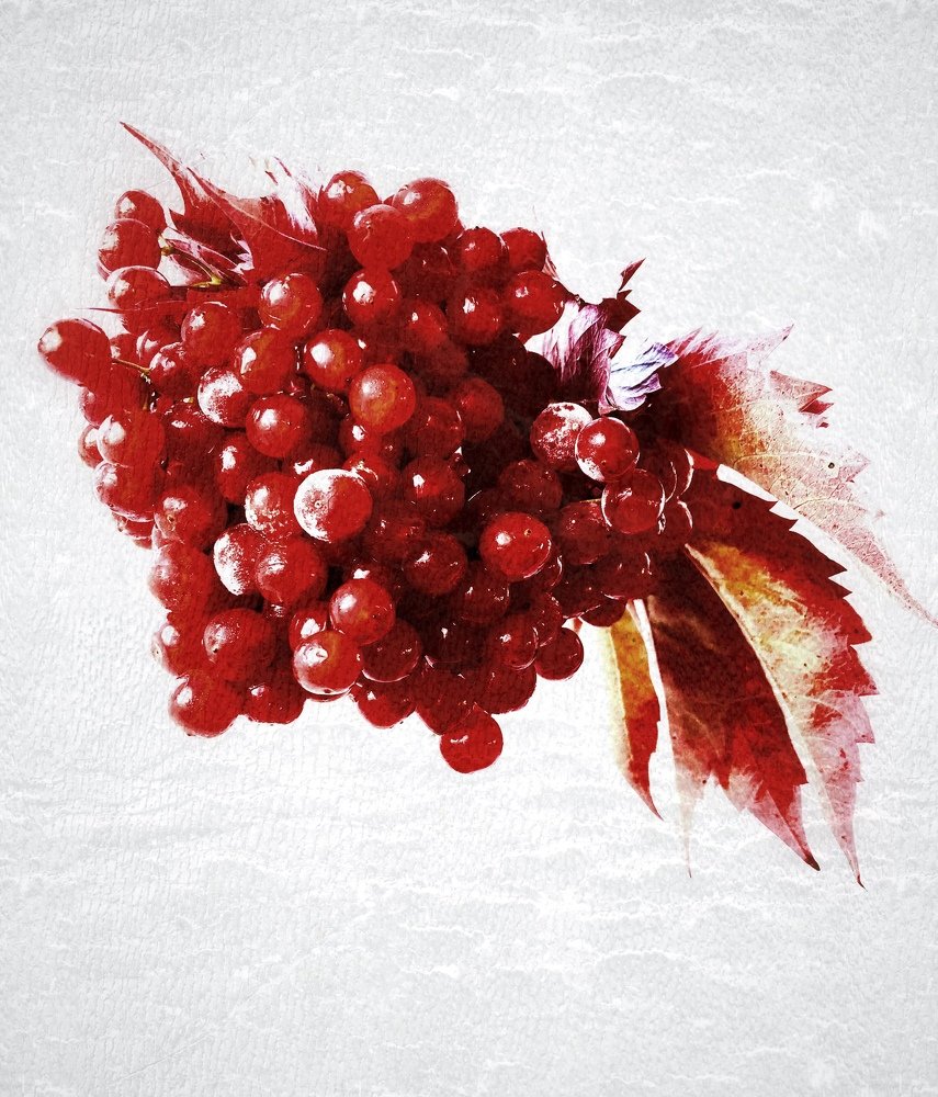 Золотая рыбка