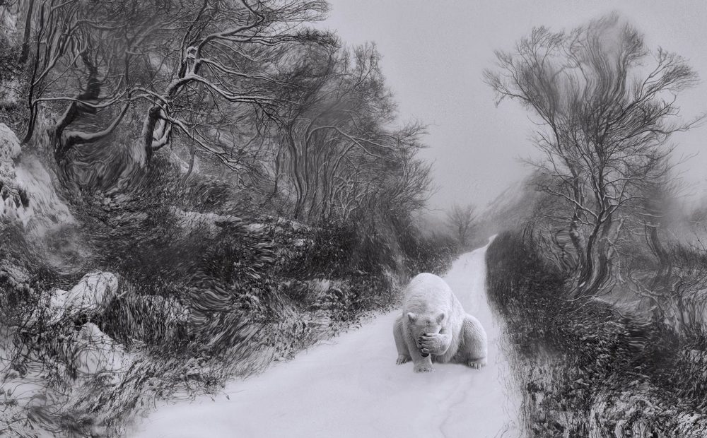 Photograph by Евгений Паршуков