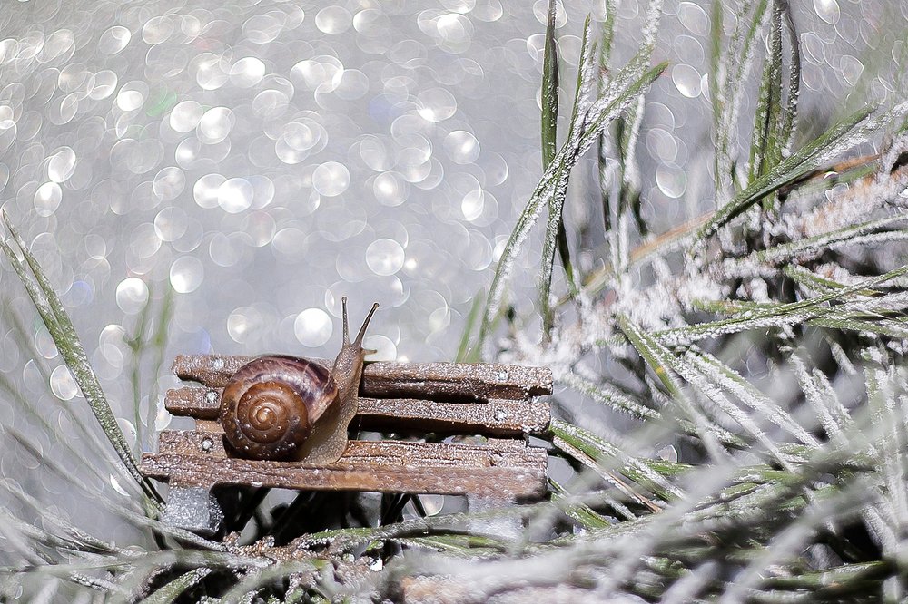 Photograph by Ольга Мурзина