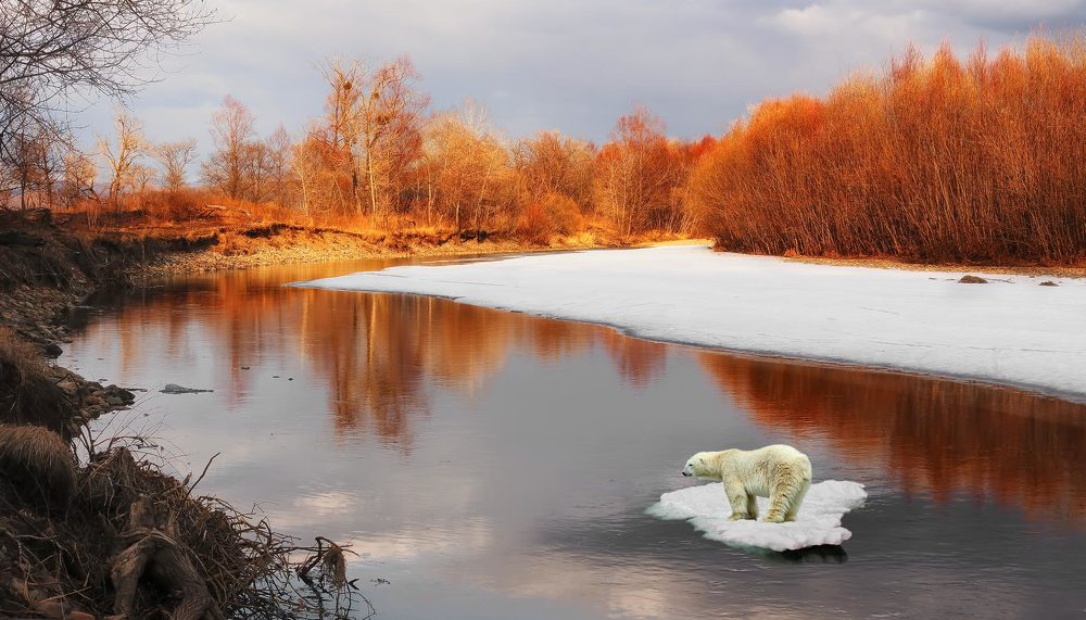 Photograph by Евгений Паршуков