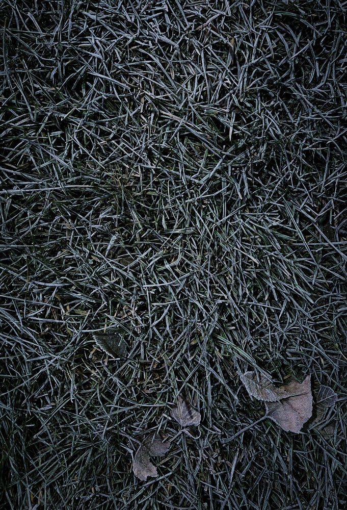 Photograph by Роман Печеневский