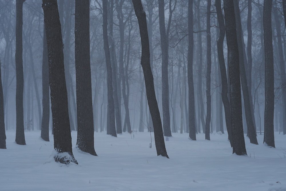 Photograph by Ксения Щербакова