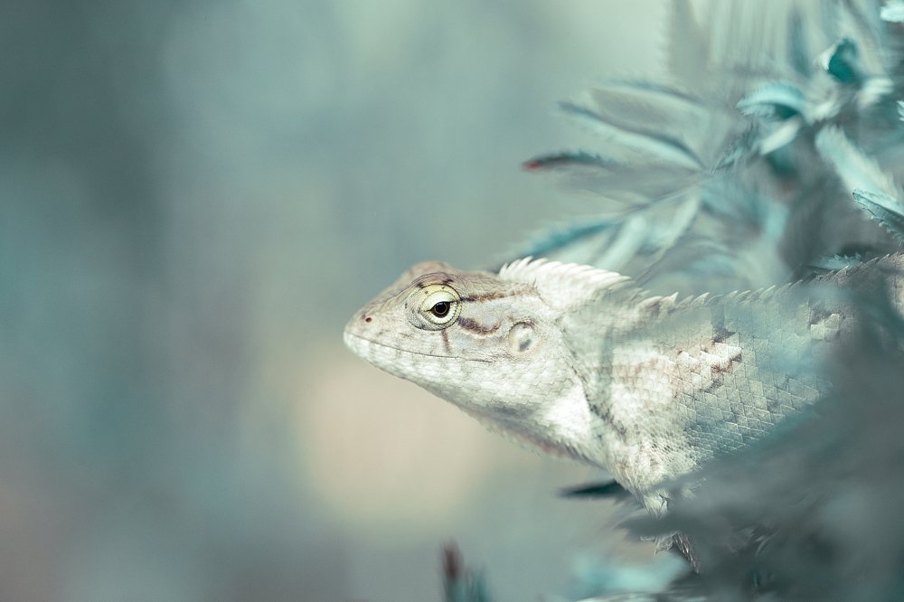 Photograph by Hemraj Chavhan A