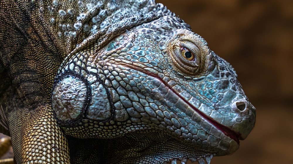 Photograph by Artem Khazov