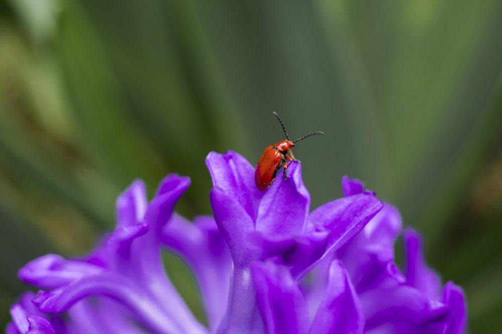 Photograph by Светлана Дегтярева
