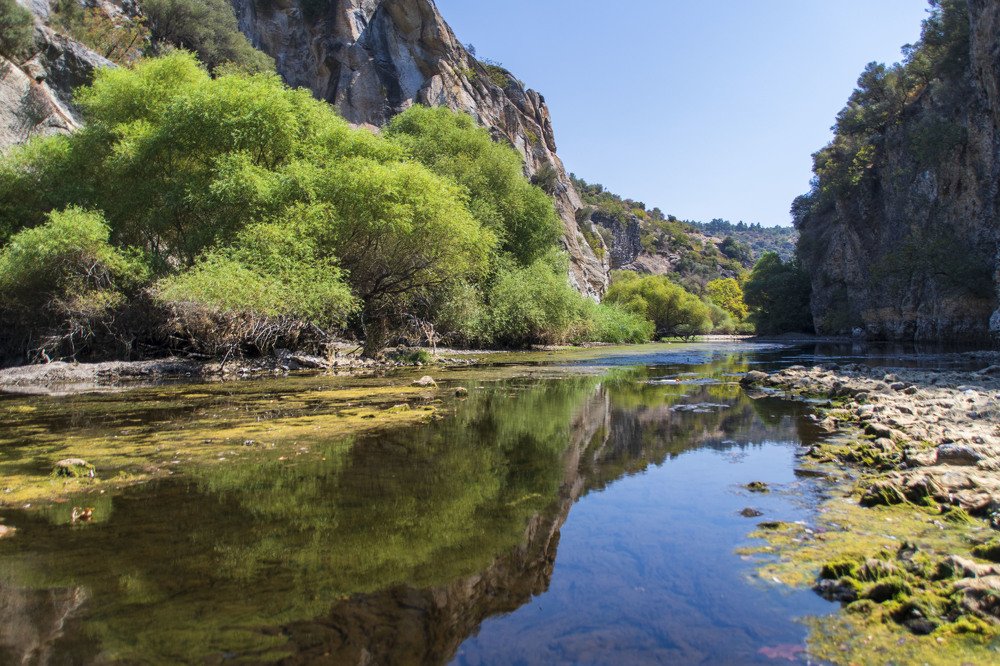 Photograph by Cem Yakal