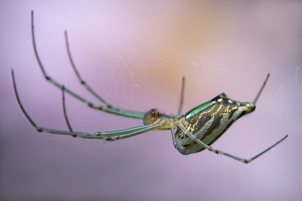 Photograph by Hemraj Chavhan A