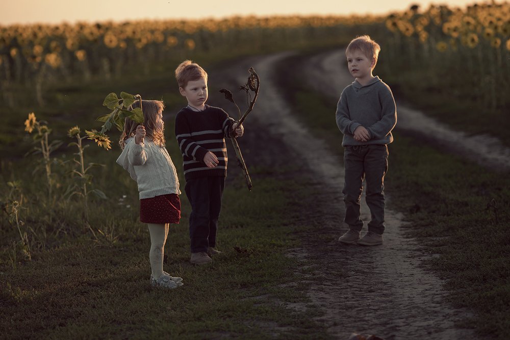 Подсолнухи