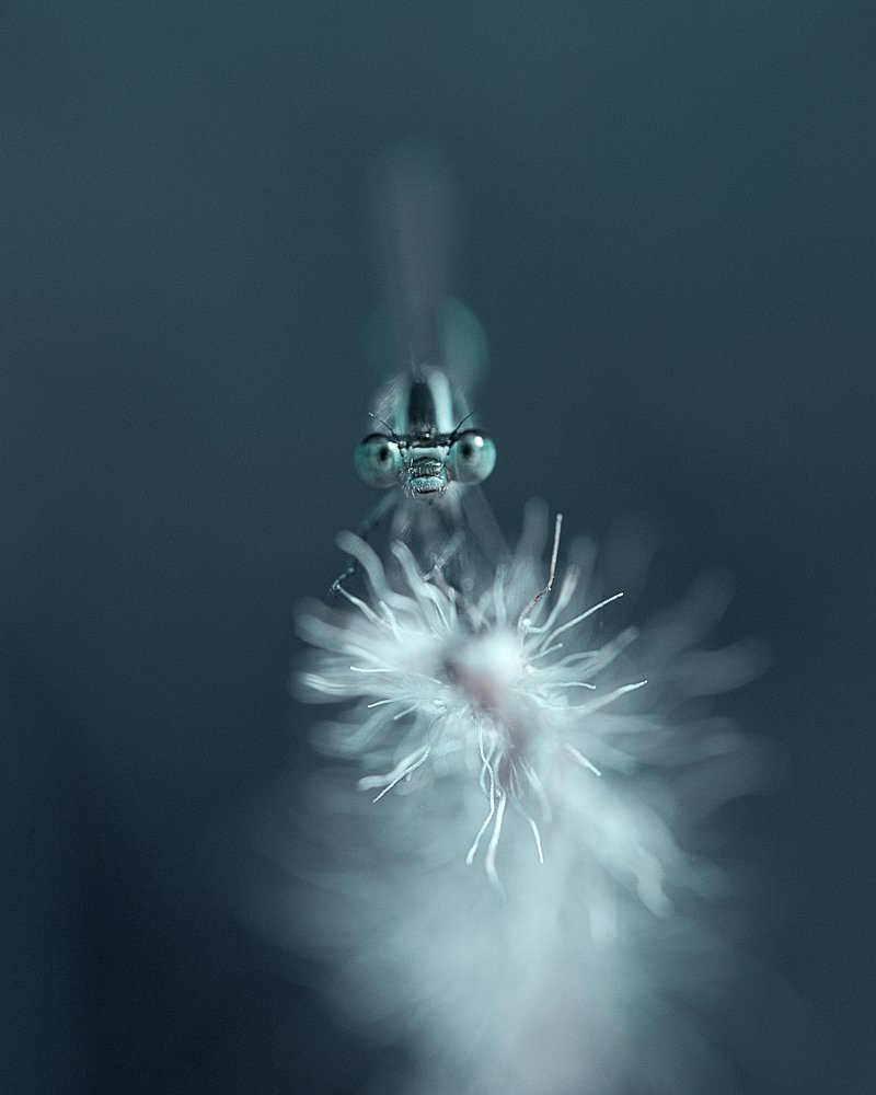 Photograph by Hemraj Chavhan A