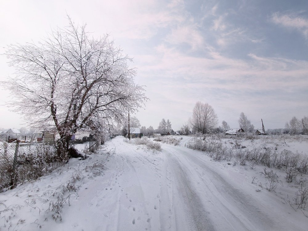 Зимняя сказка