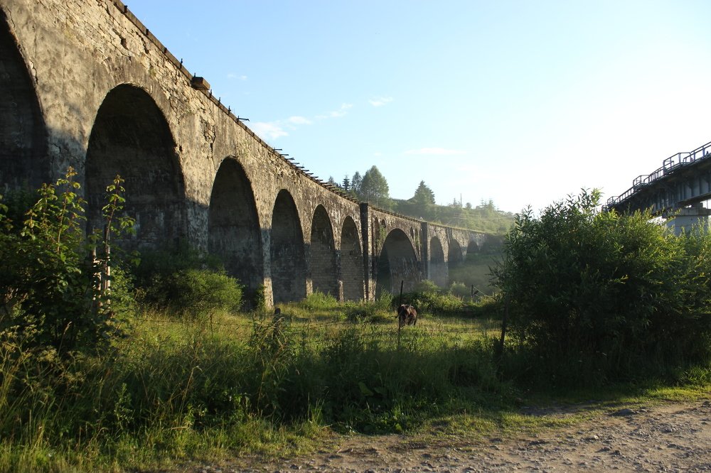 Фотография автора Анна Кравченко