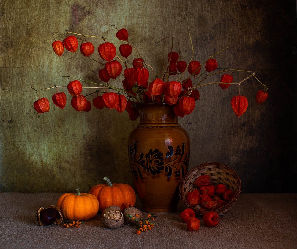 Photograph by Balog Zsuzsa