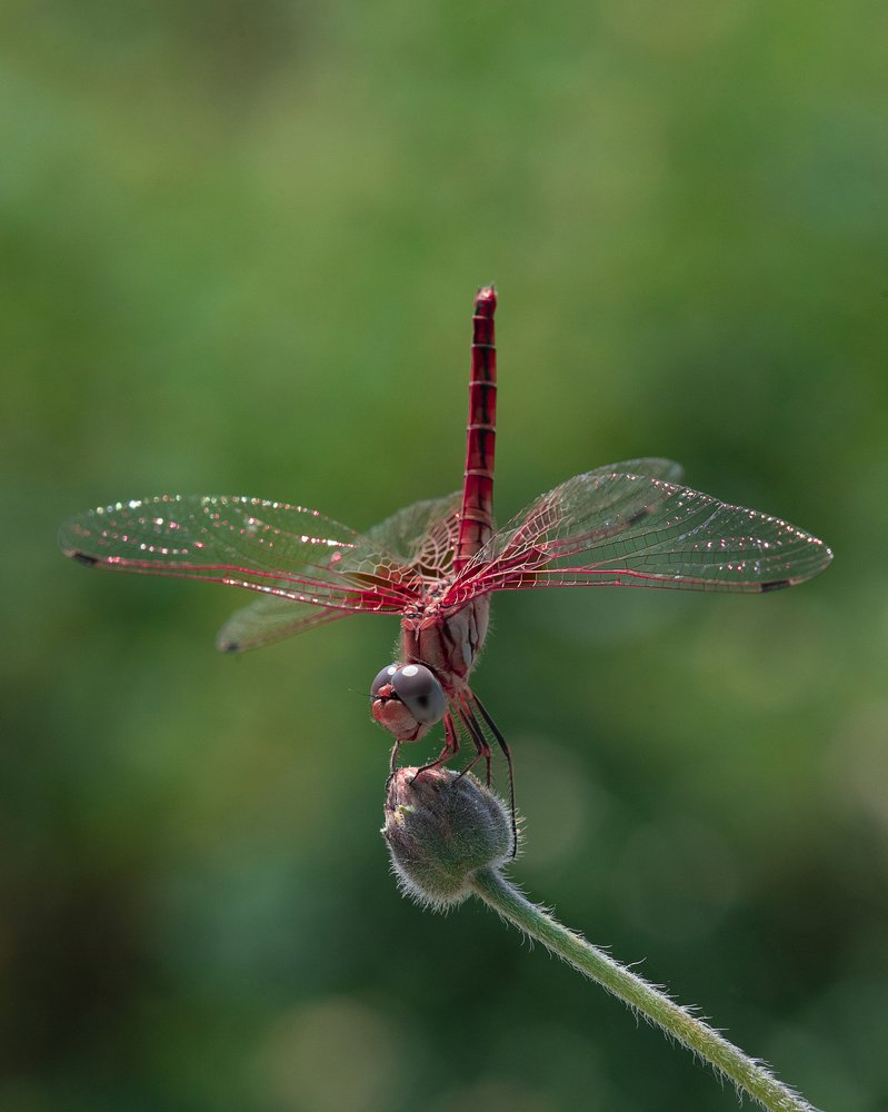 Photograph by Hemraj Chavhan A